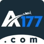 A177 Game